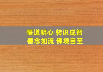 悟道明心 转识成智 善念如流 佛境自至